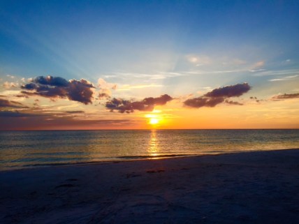 FullSizeRender-6 copy 5.jpg